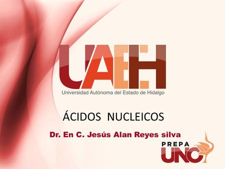 ÁCIDOS NUCLEICOS Dr. En C. Jesús Alan Reyes silva.