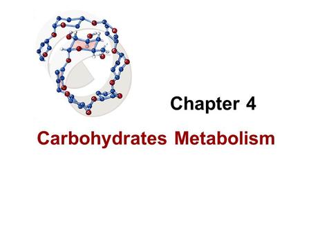 Anabolic and catabolic metabolism pathways