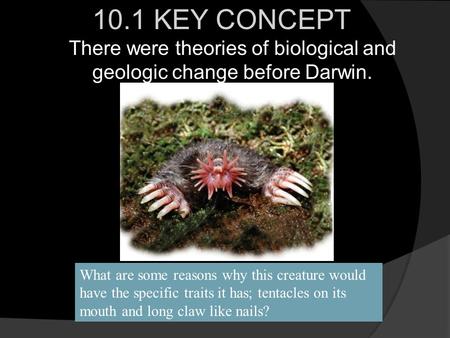 10.1 KEY CONCEPT There were theories of biological and geologic change before Darwin. What are some reasons why this creature would have the specific.