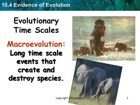 10.4 Evidence of Evolution 1 Evolutionary Time Scales Long time scale events that create and destroy species. Macroevolution: Long time scale events that.