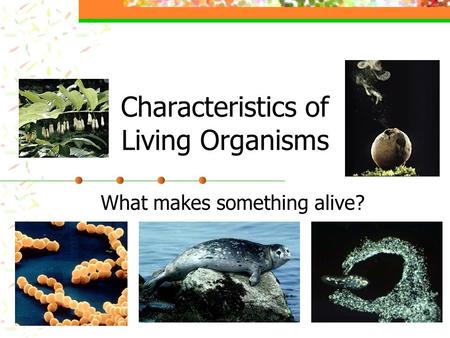 Characteristics of Living Organisms What makes something alive?
