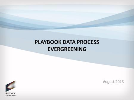 PLAYBOOK DATA PROCESS EVERGREENING August 2013. Executive Summary Business Problem: Data issues are prevalent across key data processes in the Playbook.