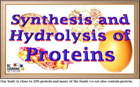 Our body is close to 20% protein and many of the foods we eat also contain protein.