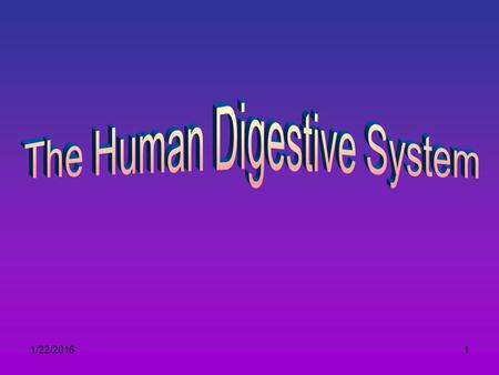 1/22/20161 2 The Digestive System Mouth, Salivary Glands Esophagus Stomach Small Intestine Large Intestine Liver Gall Bladder Pancreas Anus Let’s find.