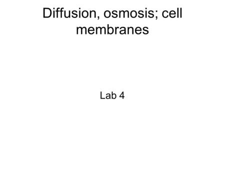 Diffusion, osmosis; cell membranes