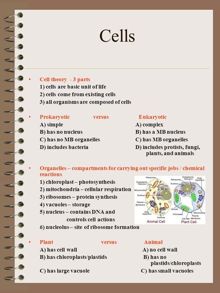 Cells Cell theory - 3 parts 1) cells are basic unit of life 2) cells come from existing cells 3) all organisms are composed of cells Prokaryotic versus.