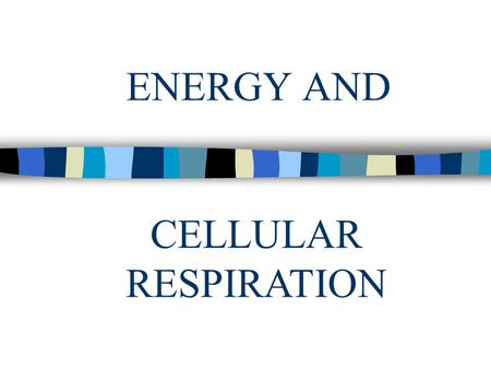 ENERGY AND CELLULAR RESPIRATION. Energy n Chemical energy – found in the bonds of food n Activation energy – energy needed to get a reaction started n.