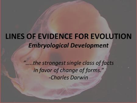 LINES OF EVIDENCE FOR EVOLUTION Embryological Development “…..the strongest single class of facts in favor of change of forms.“ -Charles Darwin.
