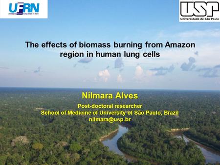 The effects of biomass burning from Amazon region in human lung cells