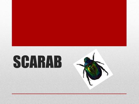 SCARAB. 0123 Substance No depth or written for children. Lacking the depth needed for your purpose. Written for the general public. Depth of coverage.
