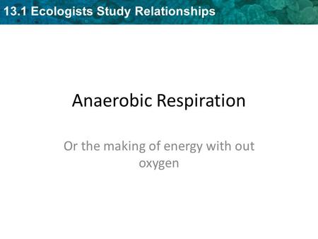 Anaerobic Respiration - Fermentation13.1 Ecologists Study Relationships Anaerobic Respiration Or the making of energy with out oxygen.