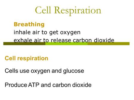 Cell Respiration Breathing inhale air to get oxygen exhale air to release carbon dioxide Cell respiration Cells use oxygen and glucose Produce ATP and.