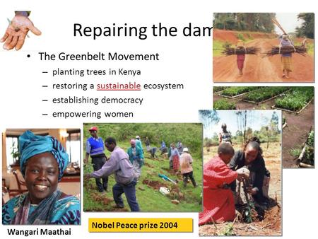 Repairing the damage The Greenbelt Movement planting trees in Kenya