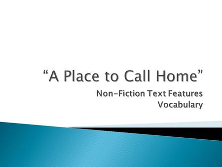 Non-Fiction Text Features Vocabulary
