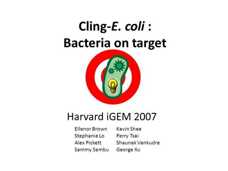 Cling-E. coli : Bacteria on target Harvard iGEM 2007 Ellenor Brown Stephanie Lo Alex Pickett Sammy Sambu Kevin Shee Perry Tsai Shaunak Vankudre George.