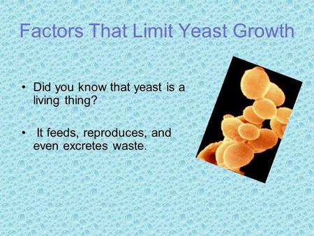 Factors That Limit Yeast Growth