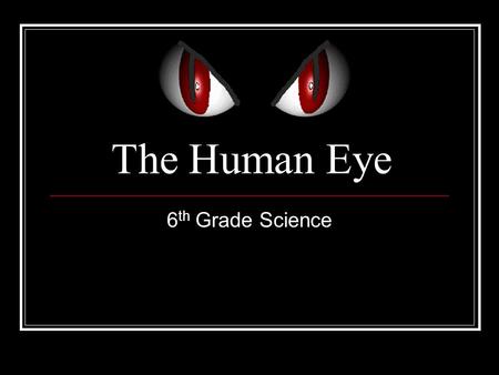 The Human Eye 6th Grade Science.