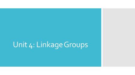 Unit 4: Linkage Groups. Today’s Agenda  Objective: To introduce linkage groups and what they entail and to identify how dominant political parties emerge.