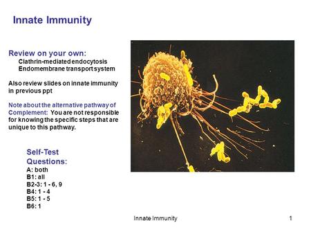 Innate Immunity Review on your own: Self-Test Questions: