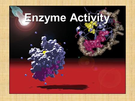 Enzyme Activity. ______________________ are broken and made between one or more substances to create new substances. In the process energy is absorbed.