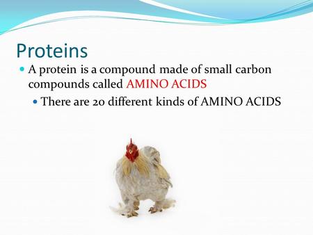 Proteins A protein is a compound made of small carbon compounds called AMINO ACIDS There are 20 different kinds of AMINO ACIDS.