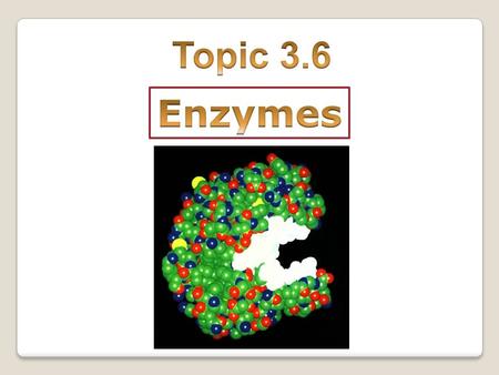 ENZYME 1.Enzymes are globular proteins that works as catalyst of chemical reactions. 2.They speed up chemical reactions without being altered themselves.