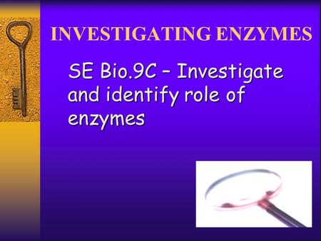 INVESTIGATING ENZYMES