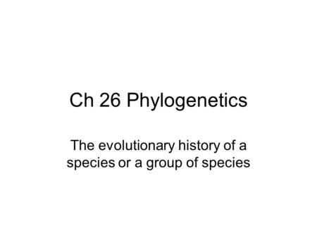 The evolutionary history of a species or a group of species