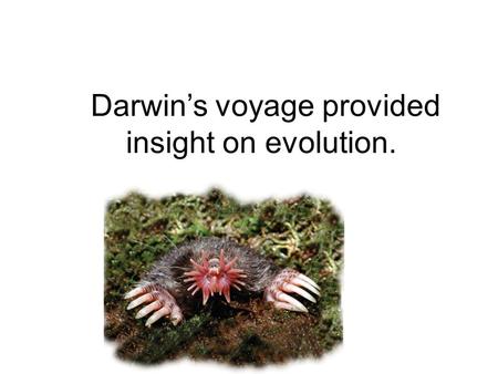 Darwin’s voyage provided insight on evolution.