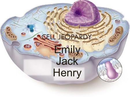 CELL JEOPARDY Emily Jack Henry Nucleus Directs the cells activities and stores chromosomes. Its like the brain of the cell. The Nucleus is in both a.