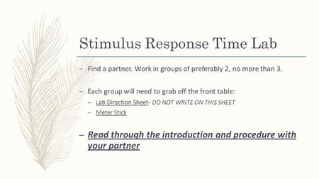 Stimulus Response Time Lab – Find a partner. Work in groups of preferably 2, no more than 3. – Each group will need to grab off the front table: – Lab.
