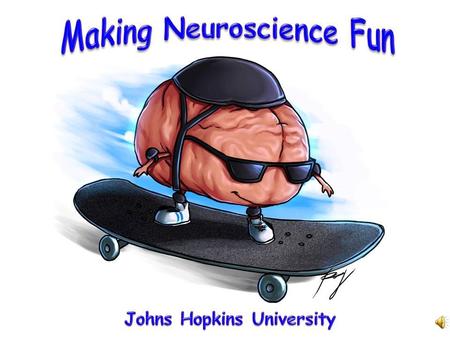 Johns Hopkins University What is your nervous system?