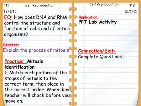 Mitosis and Cytokinesis 12/1/15 Starter: Explain the process of mitosis 12/1/15 Cell Reproduction Application: PPT Lab Activity Cell Reproduction 111 112.
