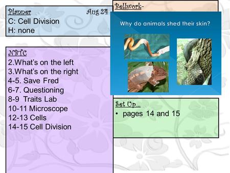 Planner Aug 24 C: Cell Division H: none NBTC 2.What’s on the left 3.What’s on the right 4-5. Save Fred 6-7. Questioning 8-9 Traits Lab 10-11 Microscope.