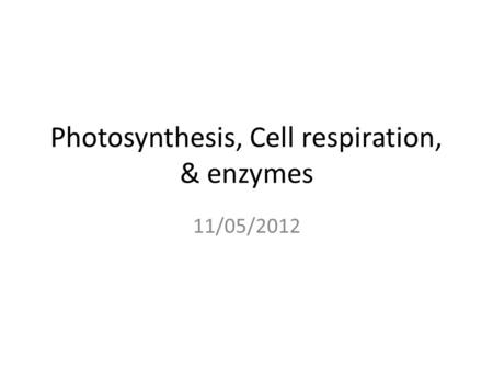 Photosynthesis, Cell respiration, & enzymes 11/05/2012.