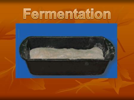 Fermentation Fermentation is a reaction that eukaryotic and prokaryotic cells use to obtain energy from food when oxygen levels are low. Fermentation.