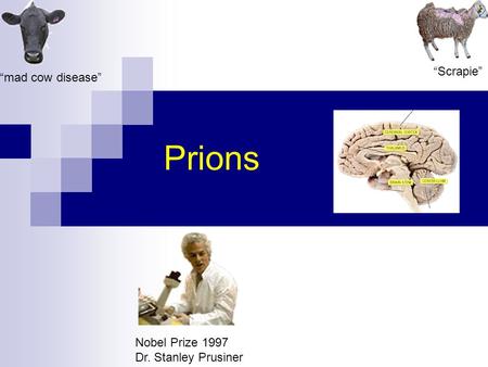 download methods in membrane