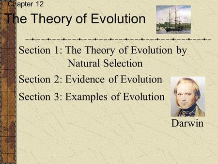 Chapter 12 The Theory of Evolution Section 1: The Theory of Evolution by Natural Selection Section 2: Evidence of Evolution Section 3: Examples of Evolution.