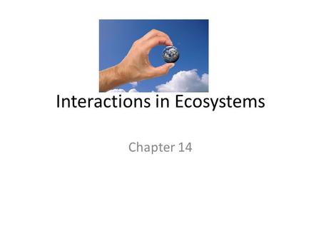 Interactions in Ecosystems Chapter 14. KEY CONCEPT Every organism has a habitat and a niche.