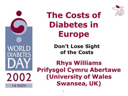 1 The Costs of Diabetes in Europe Don’t Lose Sight of the Costs Rhys Williams Prifysgol Cymru Abertawe (University of Wales Swansea, UK)