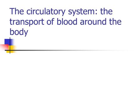 The circulatory system: the transport of blood around the body.