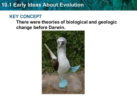 10.1 Early Ideas About Evolution KEY CONCEPT There were theories of biological and geologic change before Darwin.