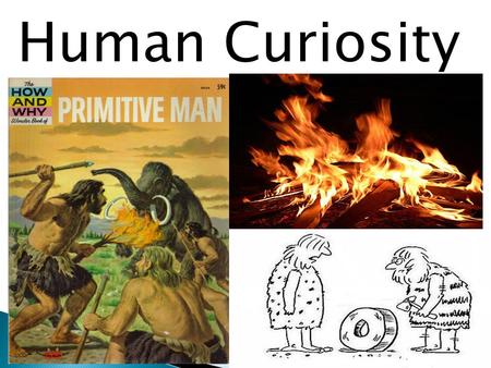 Human Curiosity.