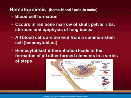 Copyright © 2009 Pearson Education, Inc., publishing as Benjamin Cummings Hematopoiesis (hema-blood / poie-to make)  Blood cell formation  Occurs in.