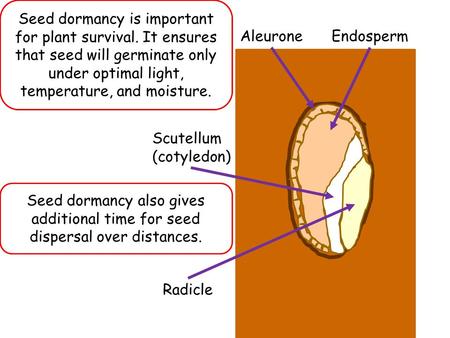 download galois theory of