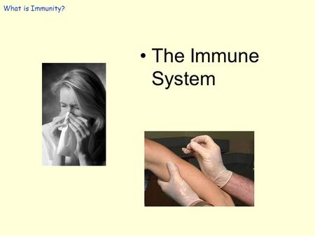 What is Immunity? The Immune System. Immunity –The ability of the body to fight infection and/or foreign invaders by producing antibodies or killing infected.