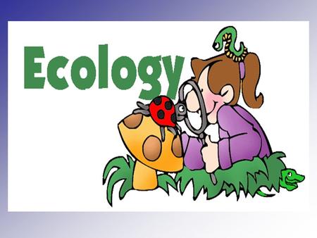 Write Ecology—the scientific study of interactions between different organisms and between organisms and their environment or surroundings