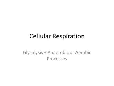 Cellular Respiration Glycolysis + Anaerobic or Aerobic Processes.