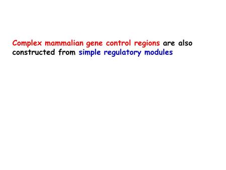 Complex mammalian gene control regions are also constructed from simple regulatory modules.