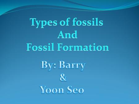 What is Fossil? Fossils are traces or remains of living things from long ago. Fossils can be mineralized bones, teeth, shells, wood, or actual unaltered.